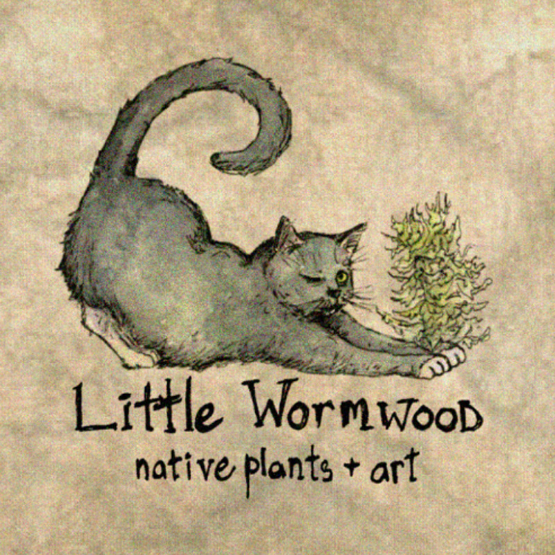 A logo of a catch scratching a branch for Little Wormwood Native Plants & Art