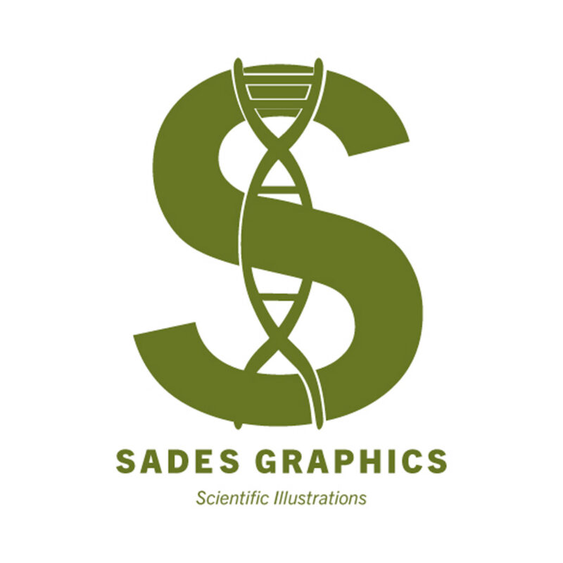 Sades Graphics logo